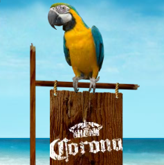 Corona Beer Summerbration Site Sound Design